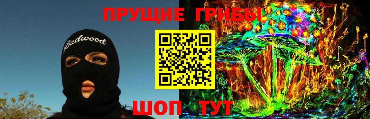 как найти наркотики  Галлюциногенные грибы прущие грибы  Вход с VPN  Псилоцибиновые грибы мухоморы  Петрозаводск 