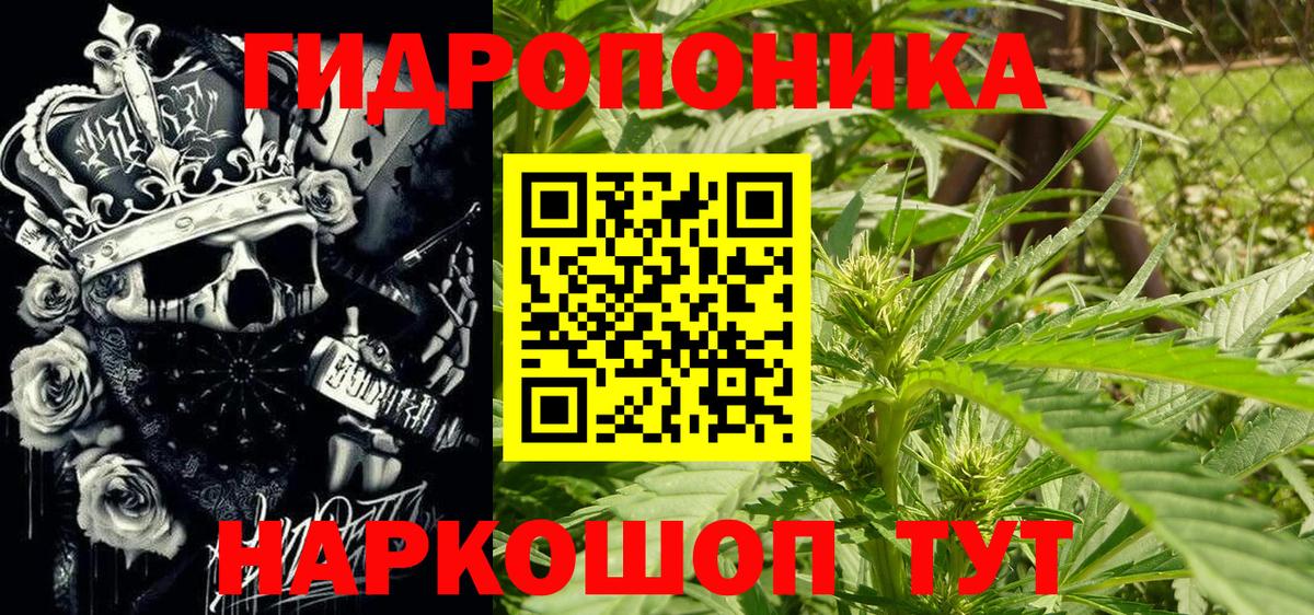 Петрозаводск  Шишки марихуана марихуана  Марихуана AK-47  Вход с VPN  Бошки марихуана SATIVA & INDICA 